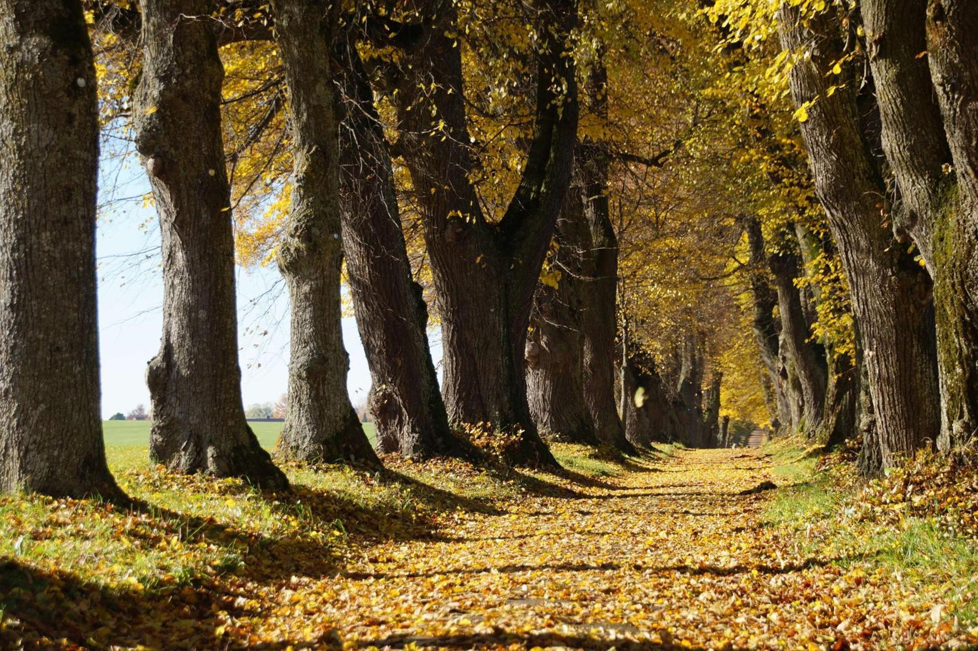 Arthotel Ana Panorama Marktoberdorf Dış mekan fotoğraf
